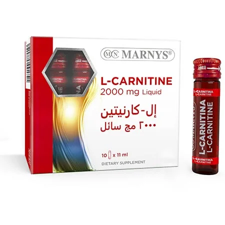    l carnitine          - -